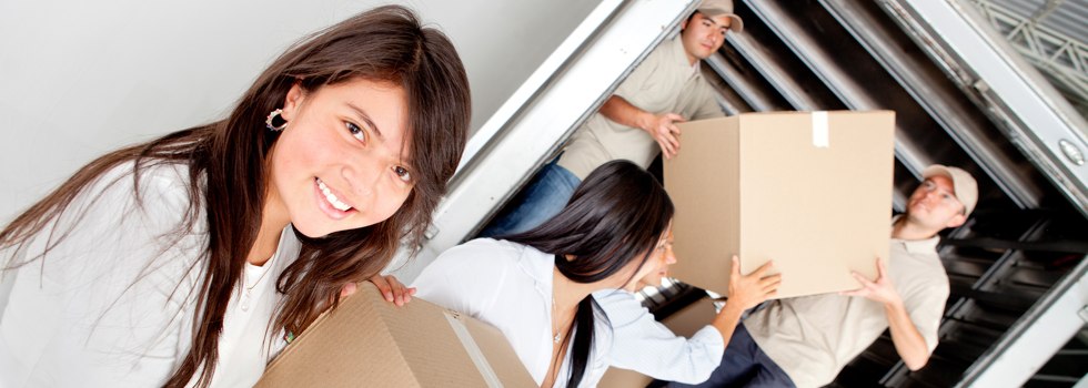 Professional Removalists Drysdale